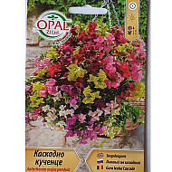 Каскадно Кученце
