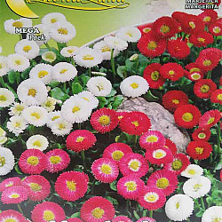 Парички
