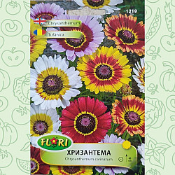 Хризантема