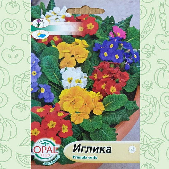 Иглика