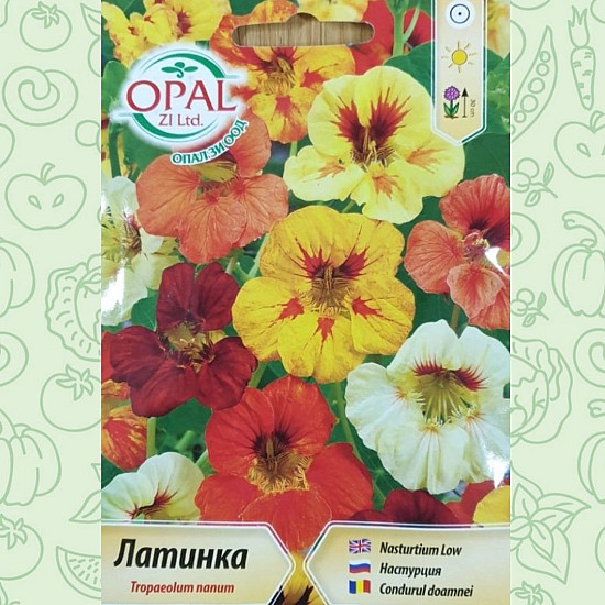 Латинка ниска микс