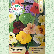 Латинка увивна микс