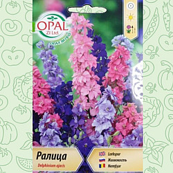 Ралица 