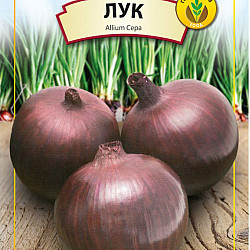 Лук Асеновградска каба 5 гр.