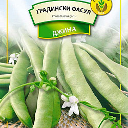 Фасул Джина 100 гр.