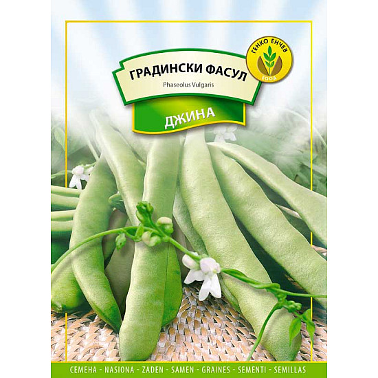 Пакет от 100 грама семена градински фасул сорт Джина
