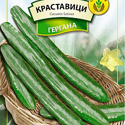 Краставици Гергана Генко