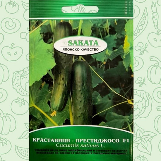 Краставици Престиджосо F1- 30 сем.