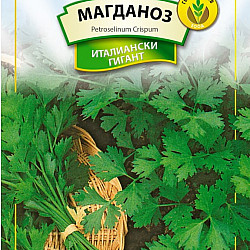 Магданоз Италиански Гигант Генко