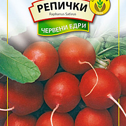 Репички Червени едри 5 гр. Генко
