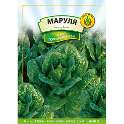 Маруля Черна Гюмюрджинска 3гр.