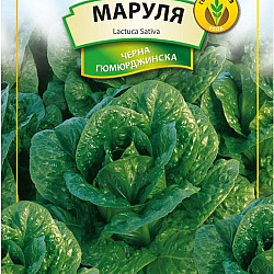 Маруля Черна Гюмюрджинска 3гр.