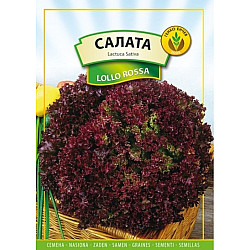 Салата Лоло Роса 2 гр.
