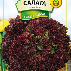 Салата Лоло Роса 2 гр.