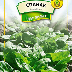Спанак Едър Зимен 