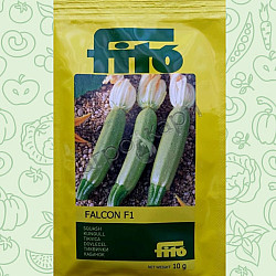 Тиквичка Фалкон F1 - 10 гр. 