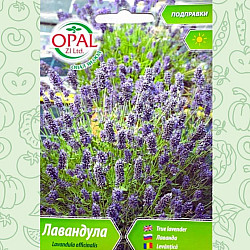 Лавандула семена 