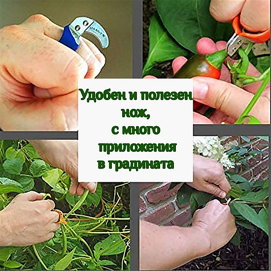 Пръстен с нож за рязане