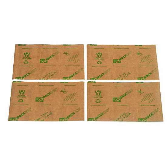 Охладител за термо кутия Ice Pack XL PLY - small