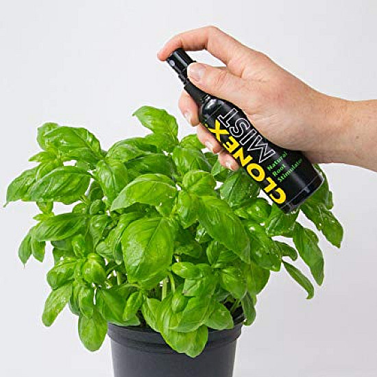 Вкоренител Clonex Mist 100 мл, 300 мл или 750 мл