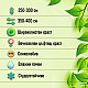 Пираканта - Pyracantha Soleil d`Or