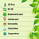 Мечо грозде - Cotoneaster dammeri