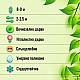 Западна колоновидна туя - Thuja occidentalis Fastigiata