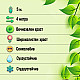 Червенолистен японски нокът - Lonicera japonica