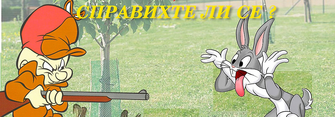 Трябва ли да станем Елмър Фъд, за да си опазим дръвчетата през зимата