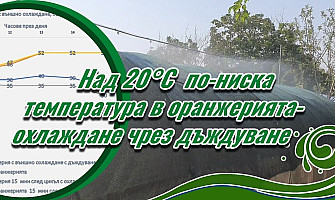 Охлаждане на оранжерия с над 20°С: Лесно и евтино