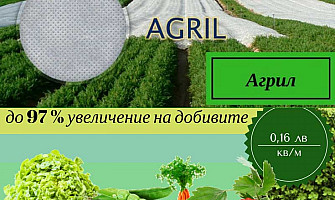 КРИТИЧНИ ТЕМПЕРАТУРИ НА ЗАМРЪЗВАНЕ ЗА НЯКОИ ЗЕЛЕНЧУЦИ И ПЛОДОВЕ И КАК ДА ГИ ПРЕОДОЛЕЕМ