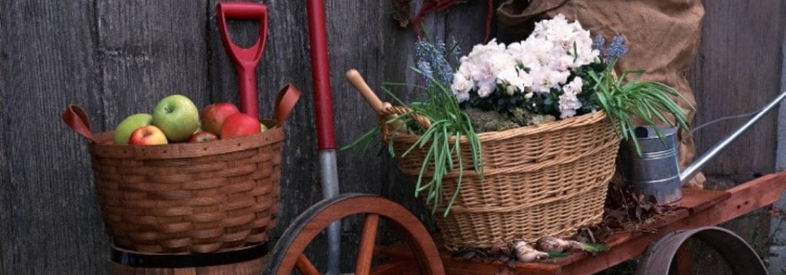 Как да поддържаме градината си през зимата?